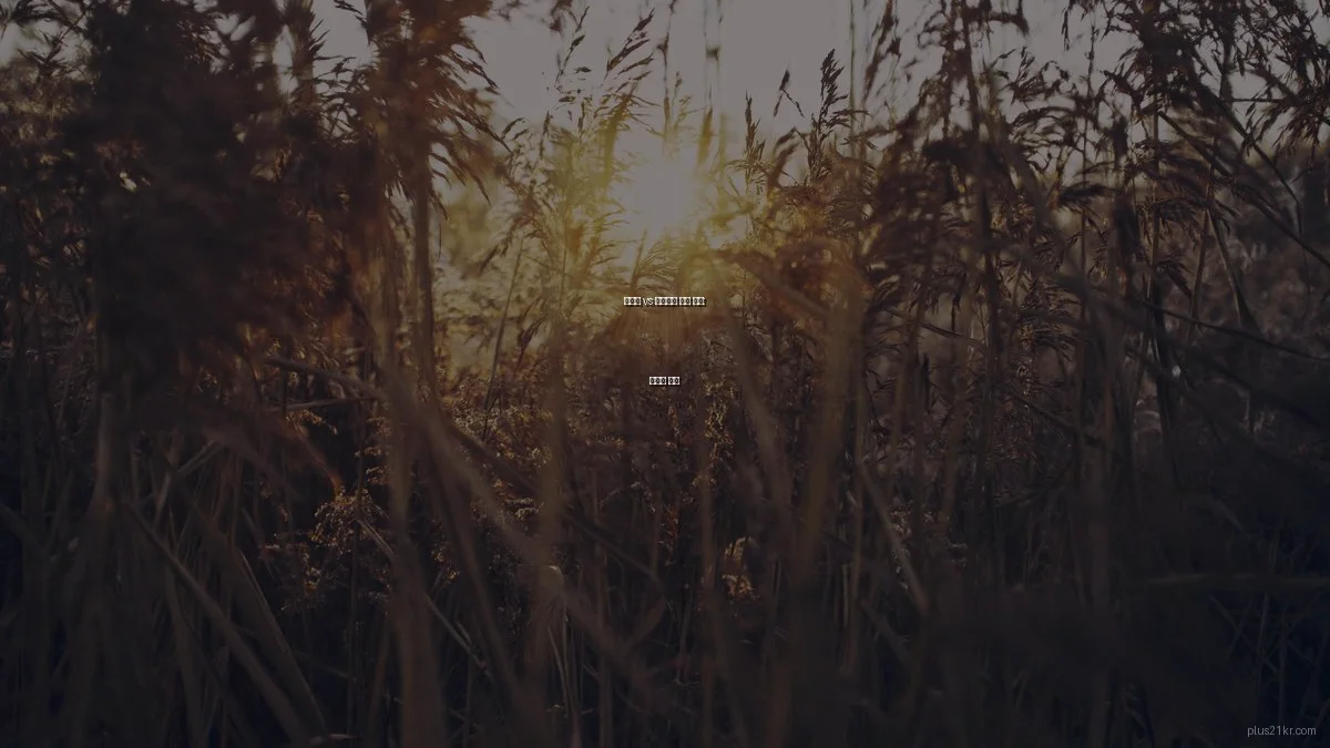 온라인 vs 오프라인 생활 정보: 장단점 비교