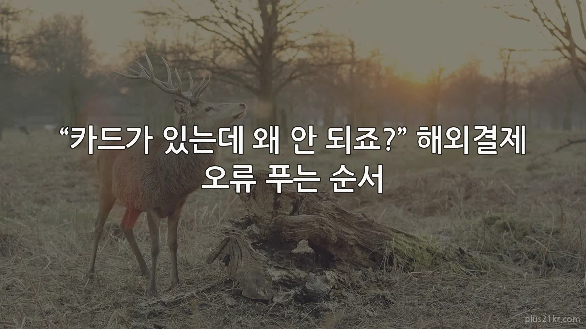 “카드가 있는데 왜 안 되죠?” 해외결제 오류 푸는 순서