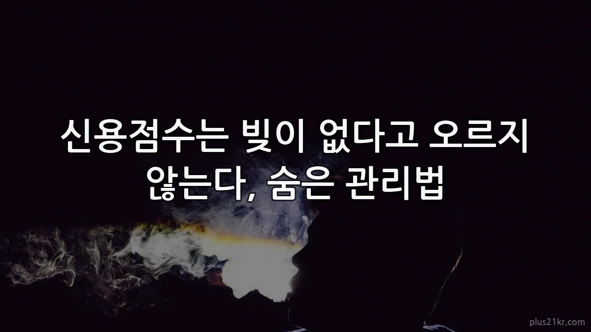신용점수는 빚이 없다고 오르지 않는다, 숨은 관리법