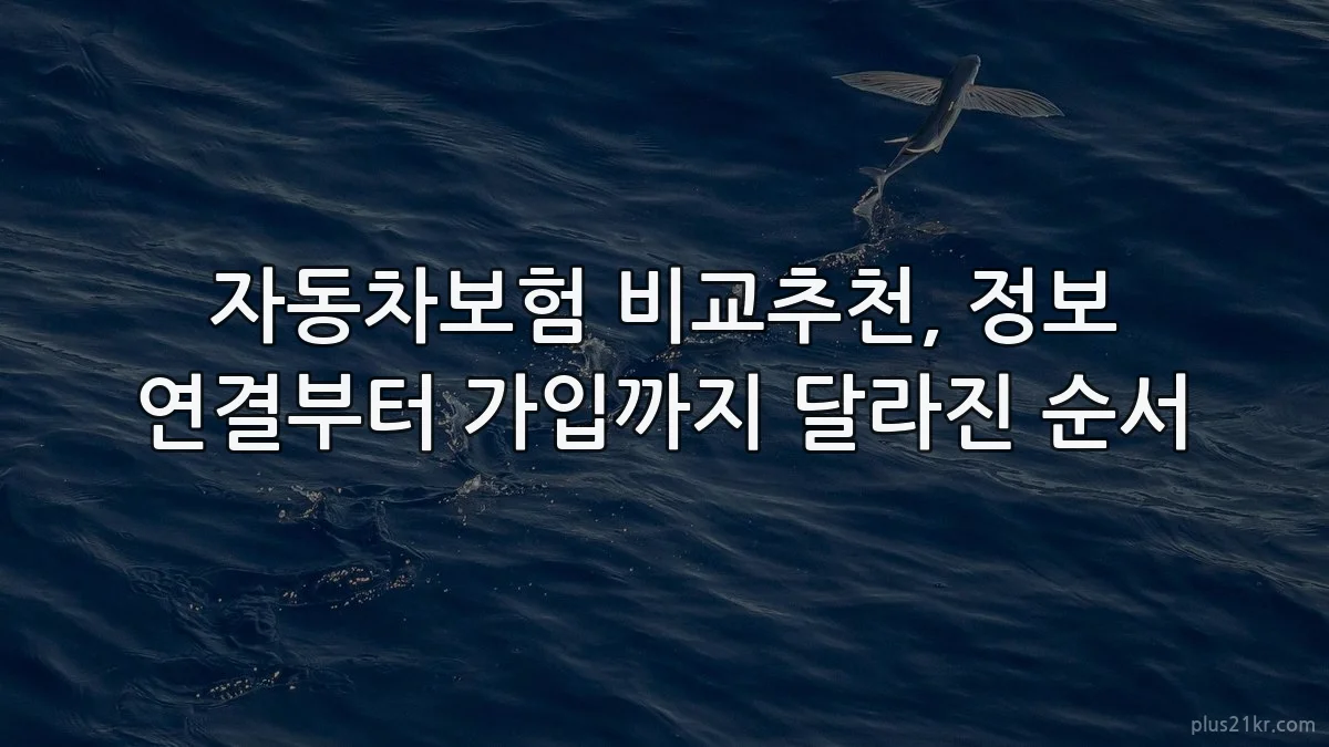 자동차보험 비교추천, 정보 연결부터 가입까지 달라진 순서