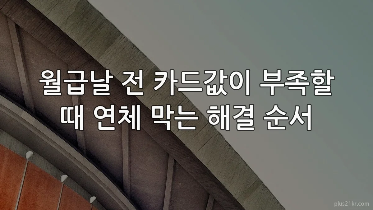 월급날 전 카드값이 부족할 때 연체 막는 해결 순서