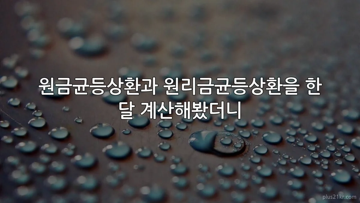 원금균등상환과 원리금균등상환을 한 달 계산해봤더니