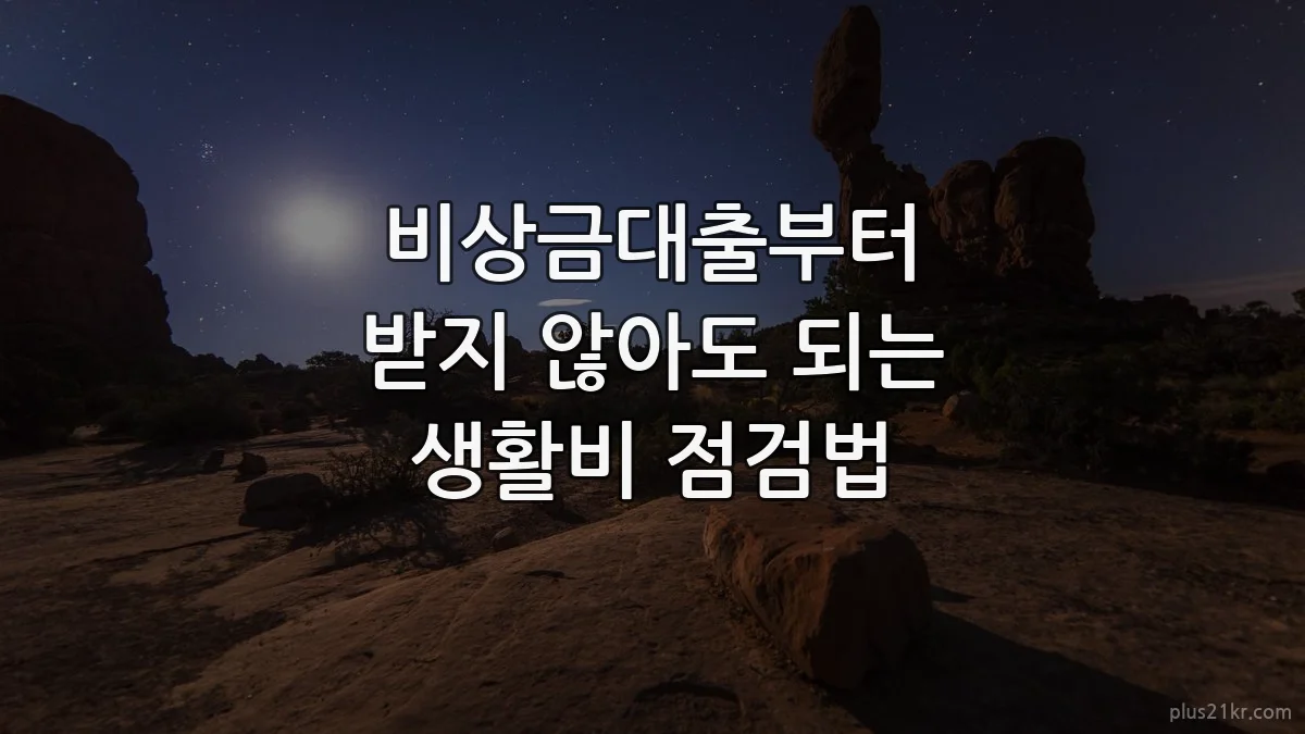 비상금대출부터 받지 않아도 되는 생활비 점검법