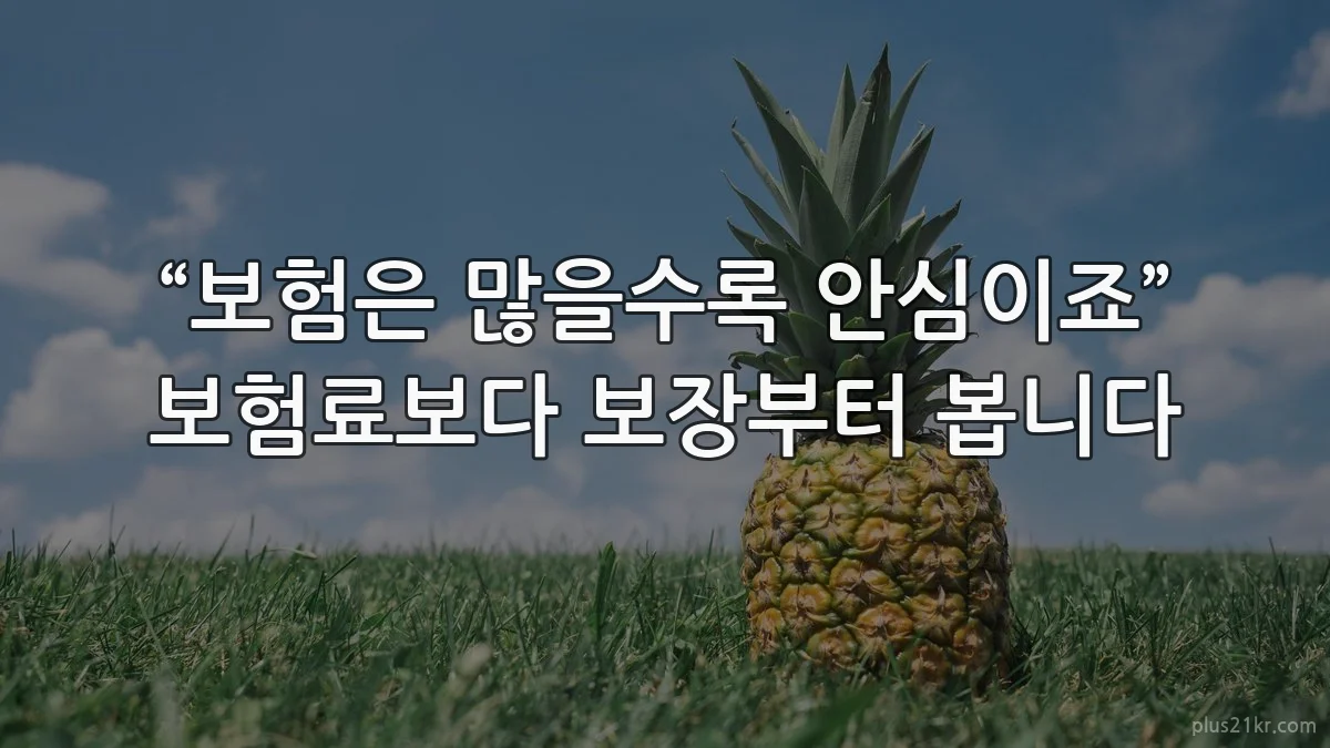 “보험은 많을수록 안심이죠” 보험료보다 보장부터 봅니다