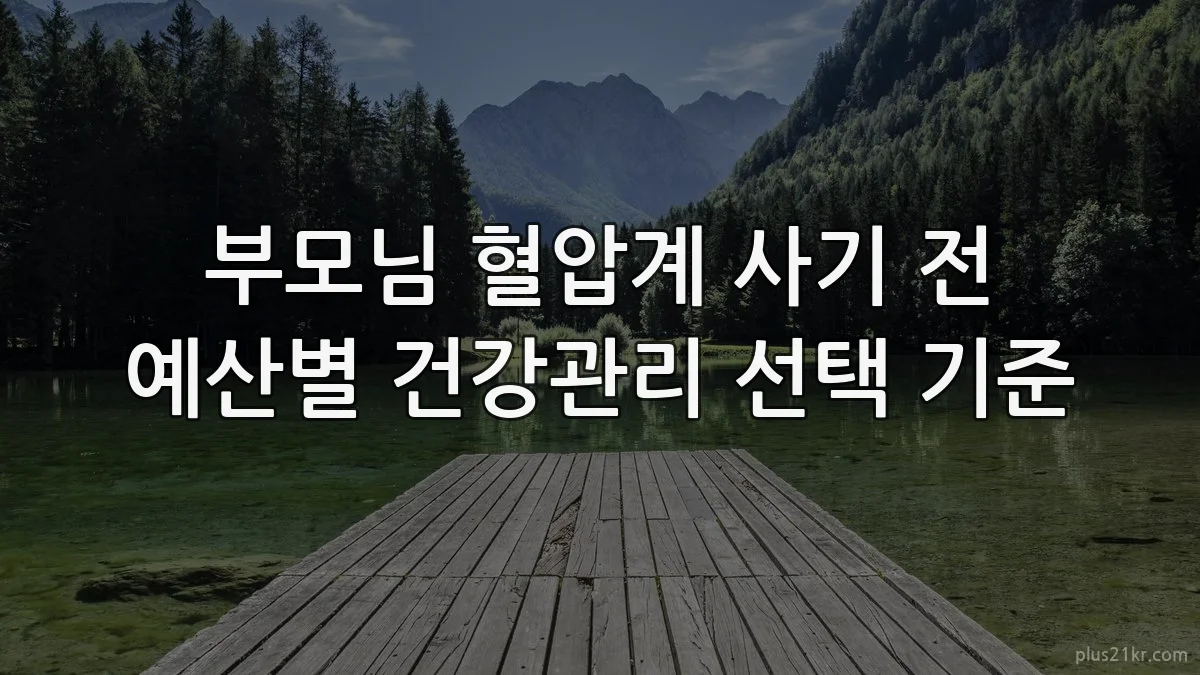 부모님 혈압계 사기 전 예산별 건강관리 선택 기준