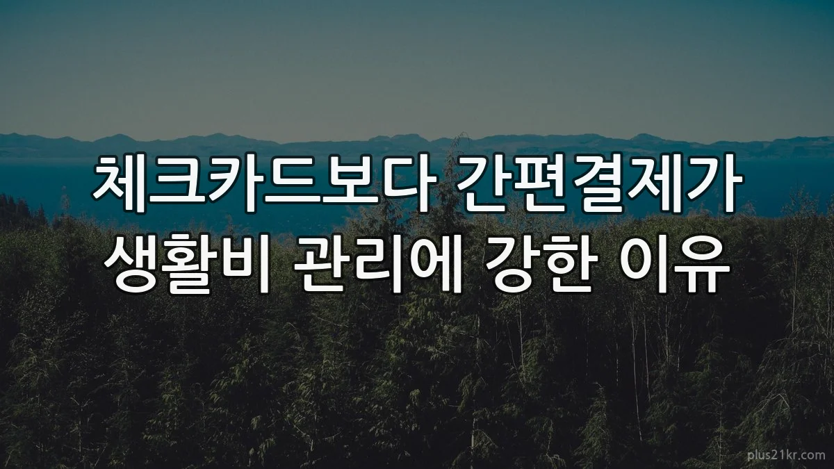 체크카드보다 간편결제가 생활비 관리에 강한 이유