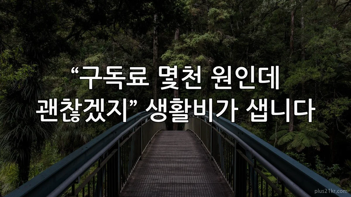 “구독료 몇천 원인데 괜찮겠지” 생활비가 샙니다