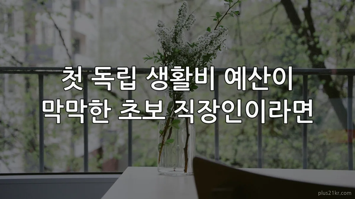 첫 독립 생활비 예산이 막막한 초보 직장인이라면