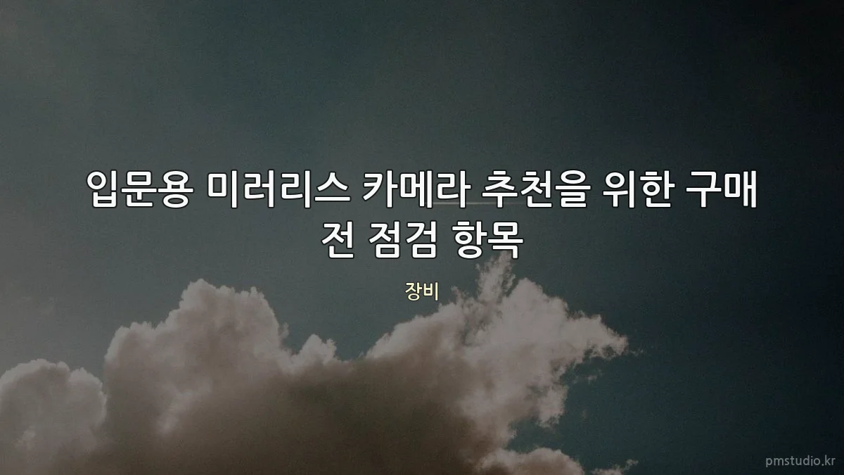 입문용 미러리스 카메라 추천을 위한 구매 전 점검 항목