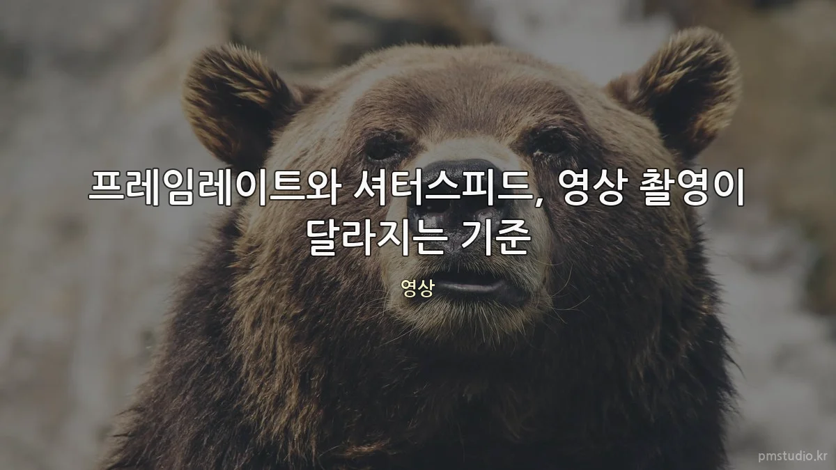 프레임레이트와 셔터스피드, 영상 촬영이 달라지는 기준