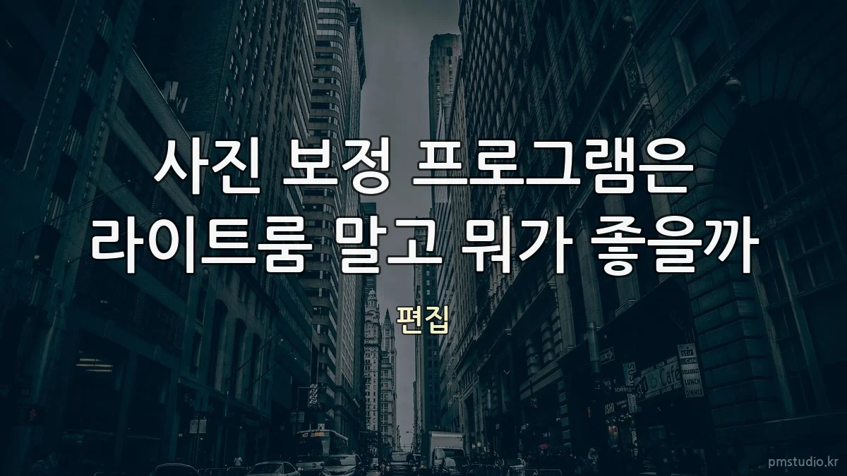 사진 보정 프로그램은 라이트룸 말고 뭐가 좋을까