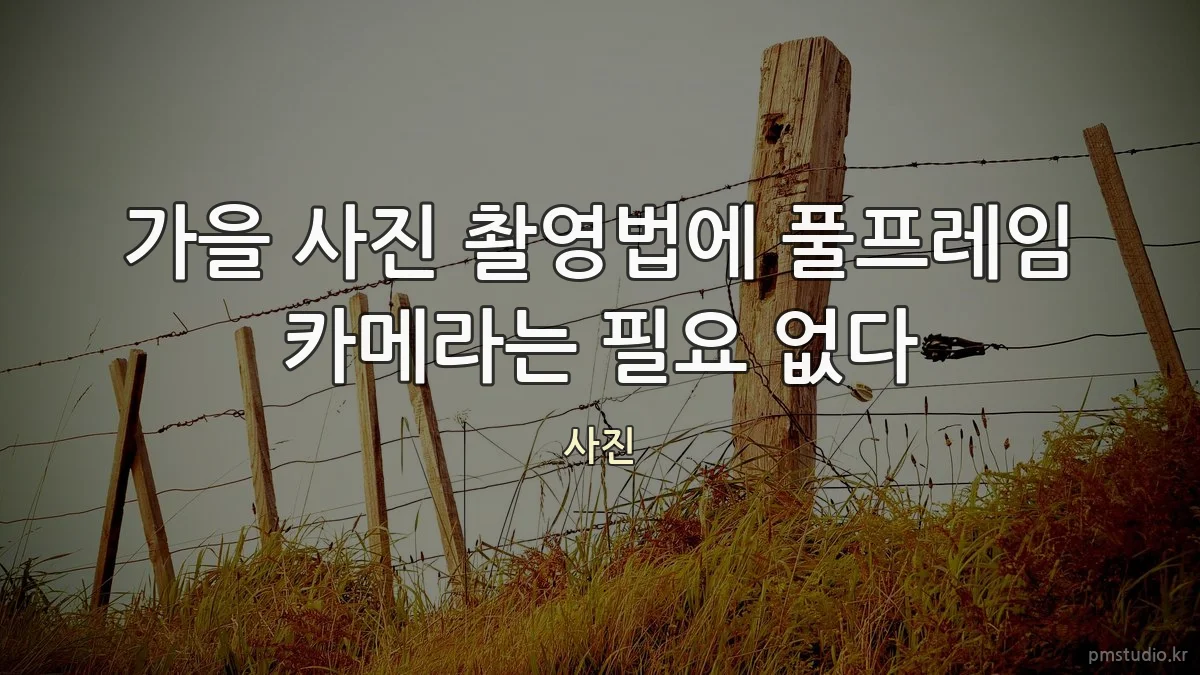 가을 사진 촬영법에 풀프레임 카메라는 필요 없다