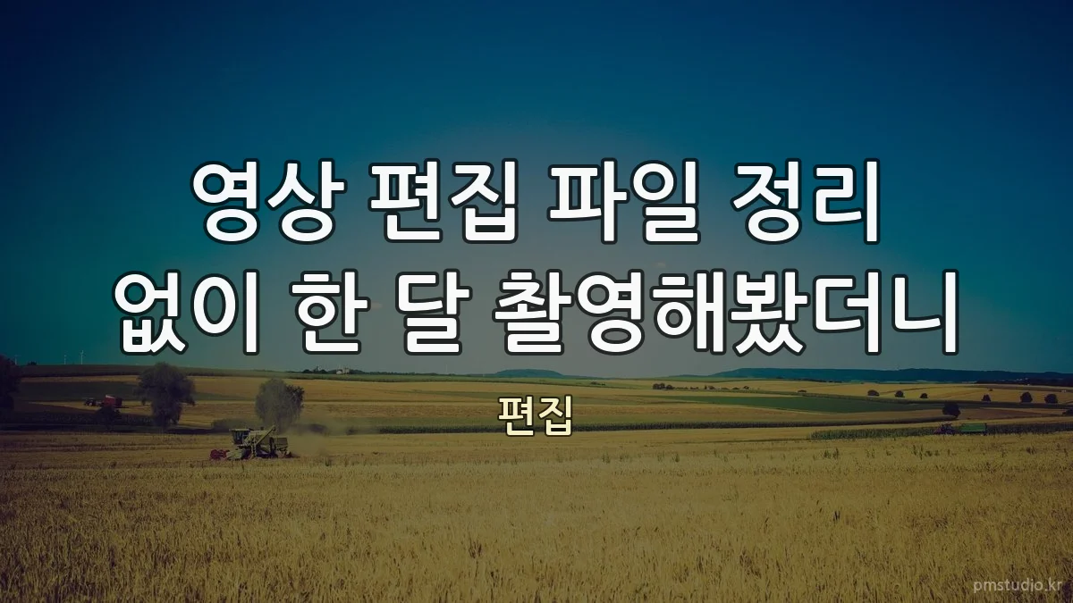 영상 편집 파일 정리 없이 한 달 촬영해봤더니