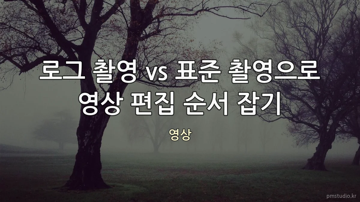 로그 촬영 vs 표준 촬영으로 영상 편집 순서 잡기