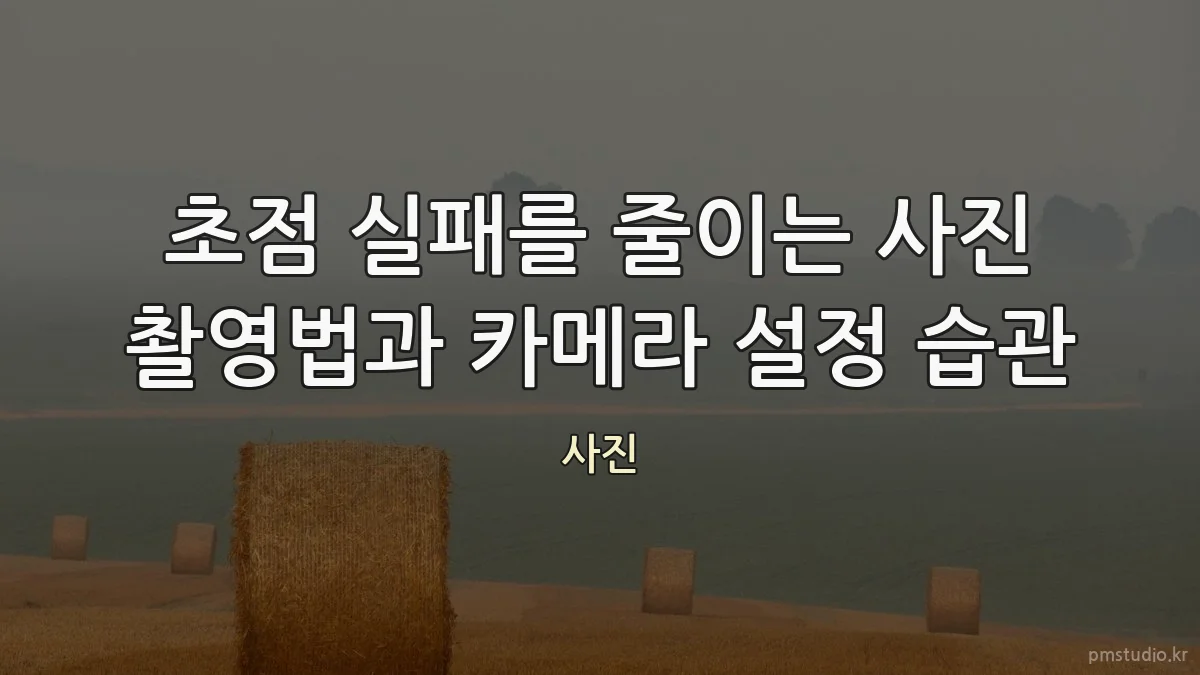 초점 실패를 줄이는 사진 촬영법과 카메라 설정 습관