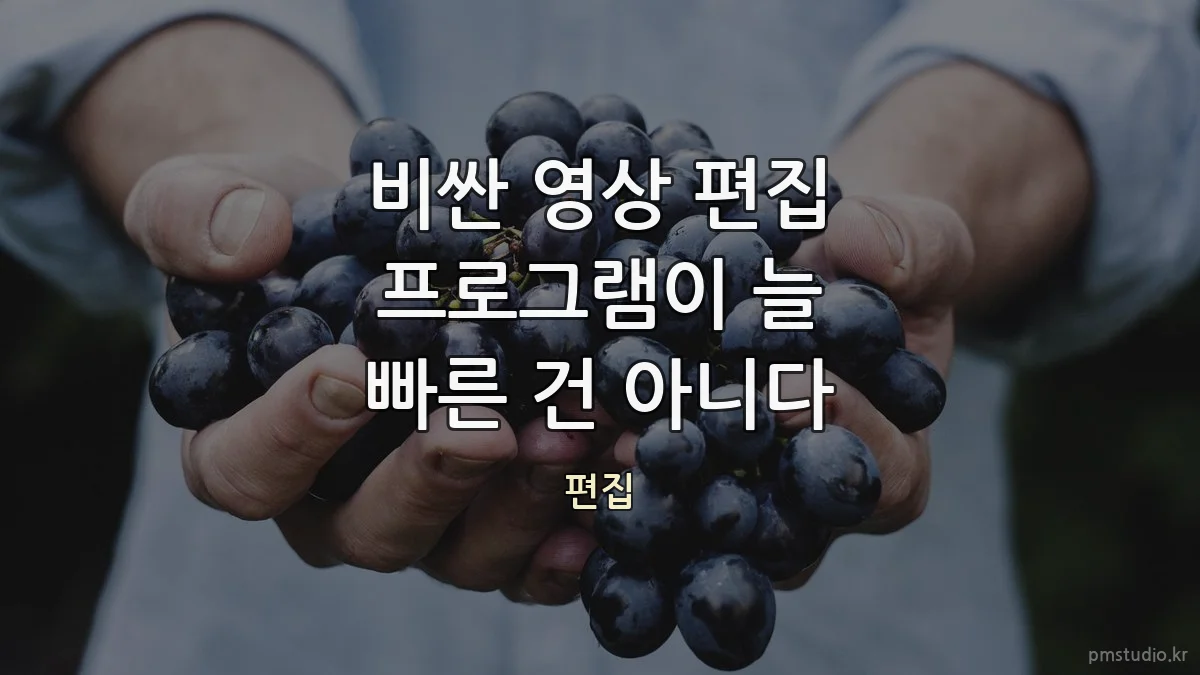 비싼 영상 편집 프로그램이 늘 빠른 건 아니다