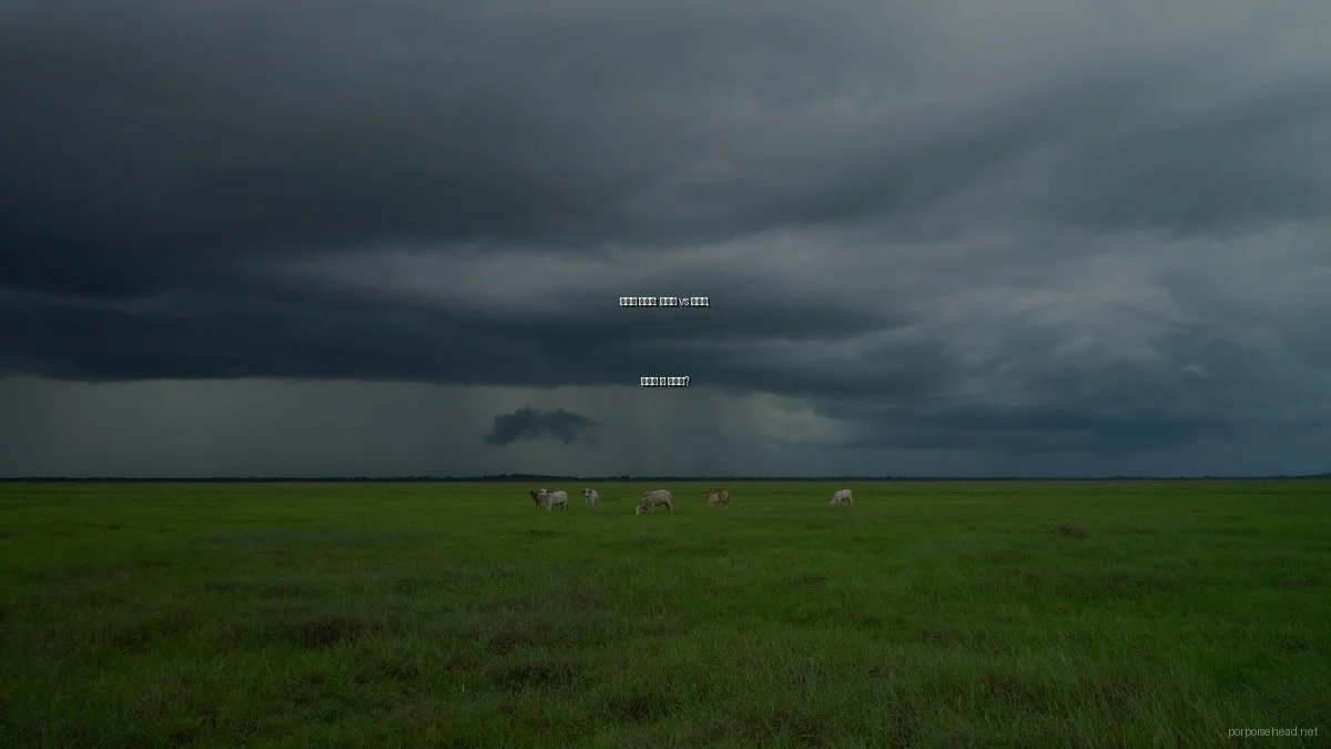 창의적 글쓰기: 종이책 vs 전자책, 무엇이 더 나을까?