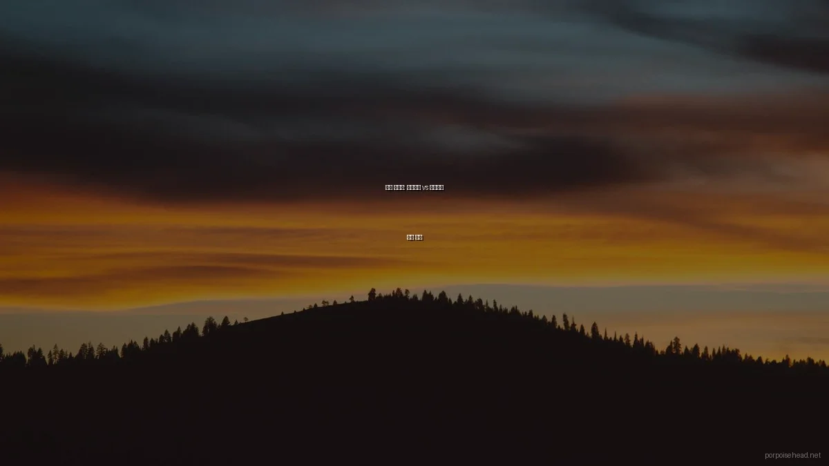 창작 글쓰기: 일기형식 vs 서사형식 비교 분석