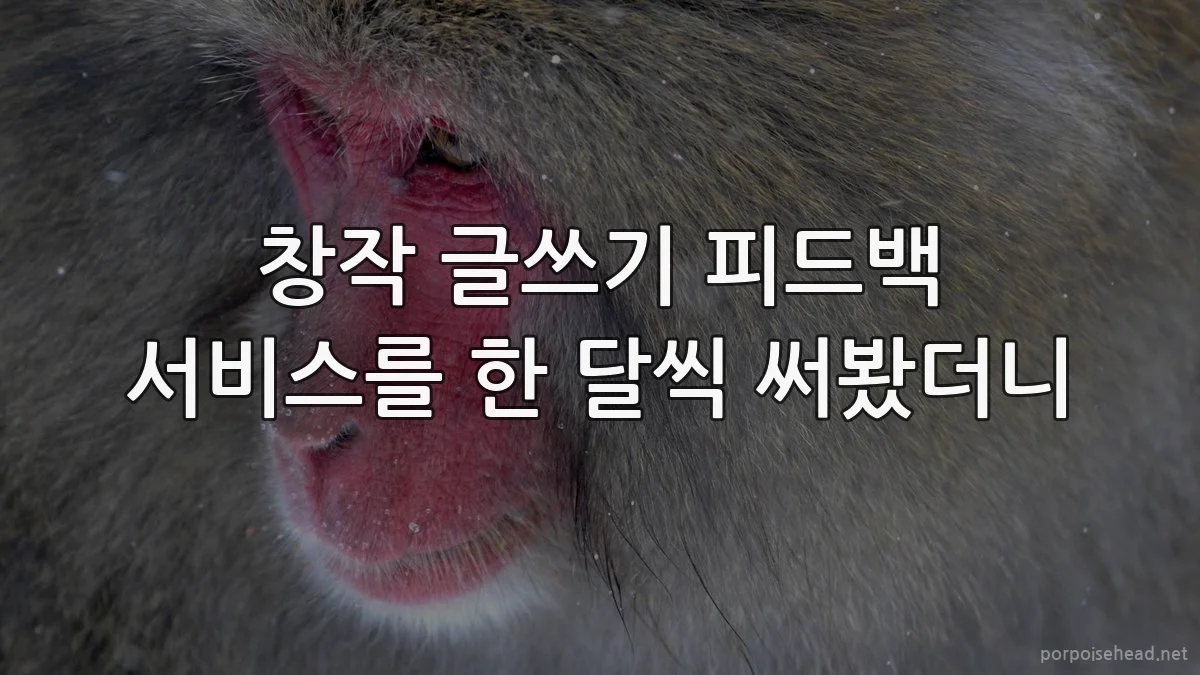 창작 글쓰기 피드백 서비스를 한 달씩 써봤더니