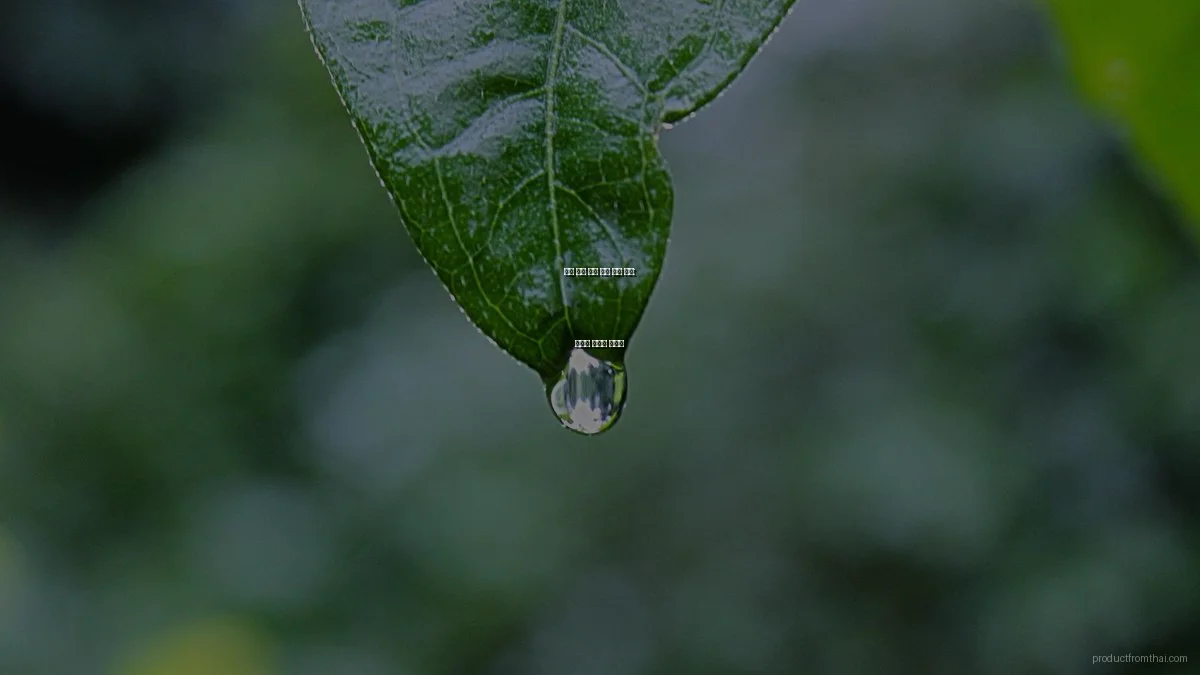 태국 제품 시장 진출 성공 비법: 전문가 인터뷰 가이드