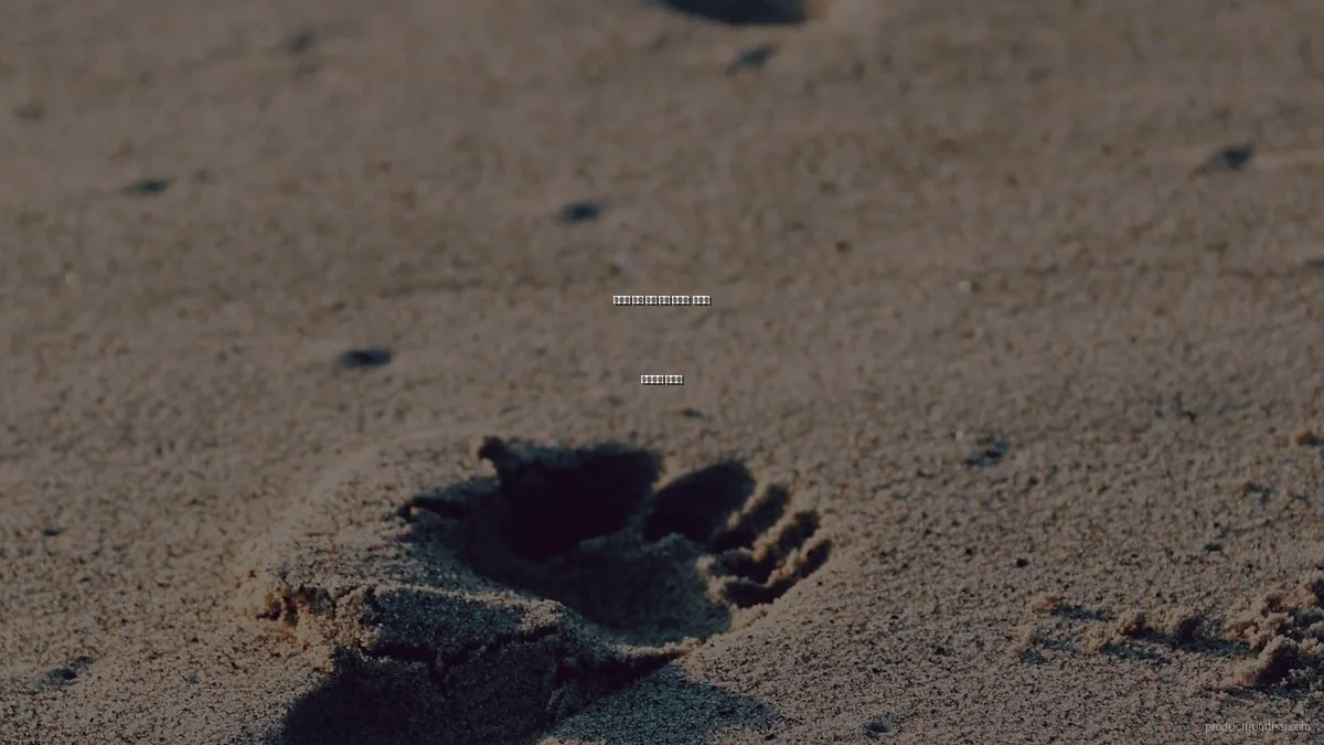 예산별 태국 제품 추천 가이드: 최고의 가성비를 찾아라