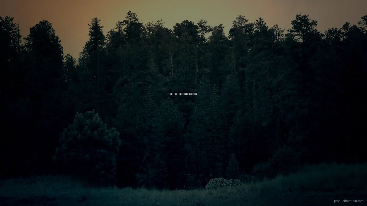 태국 공산품 실제 사용 후기와 수출 팁