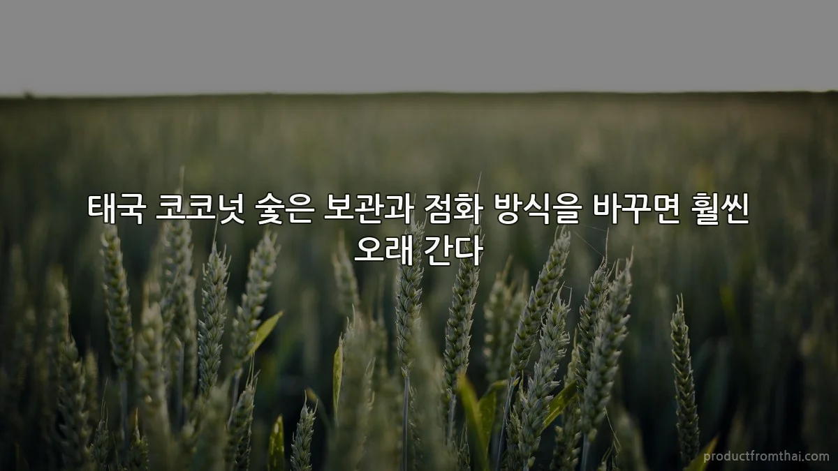 태국 코코넛 숯은 보관과 점화 방식을 바꾸면 훨씬 오래 간다