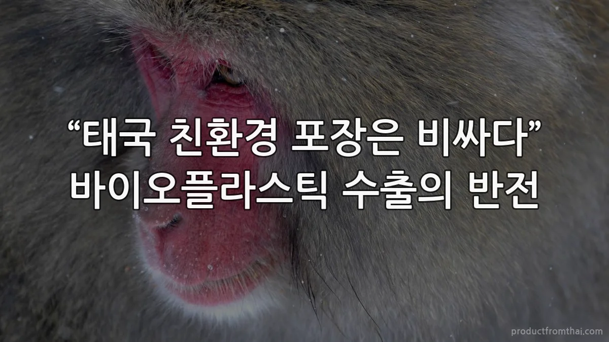 “태국 친환경 포장은 비싸다” 바이오플라스틱 수출의 반전