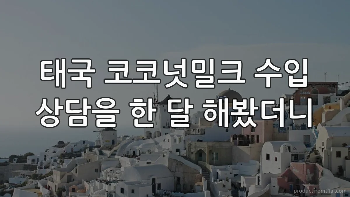 태국 코코넛밀크 수입 상담을 한 달 해봤더니