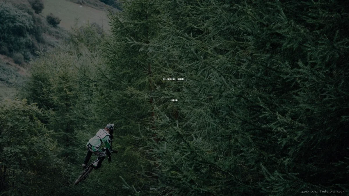 평촌 더샵 아이파크 분양 전 필수 체크리스트