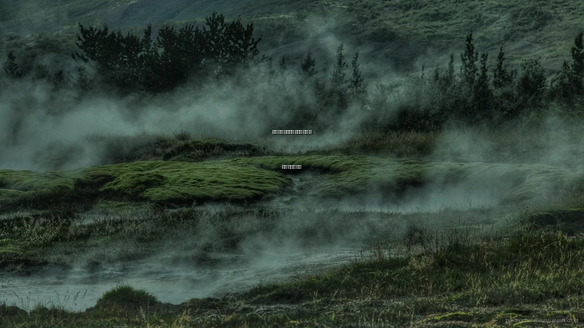 평촌 더샵 아이파크 아파트 계약 시 흔한 실수와 교훈