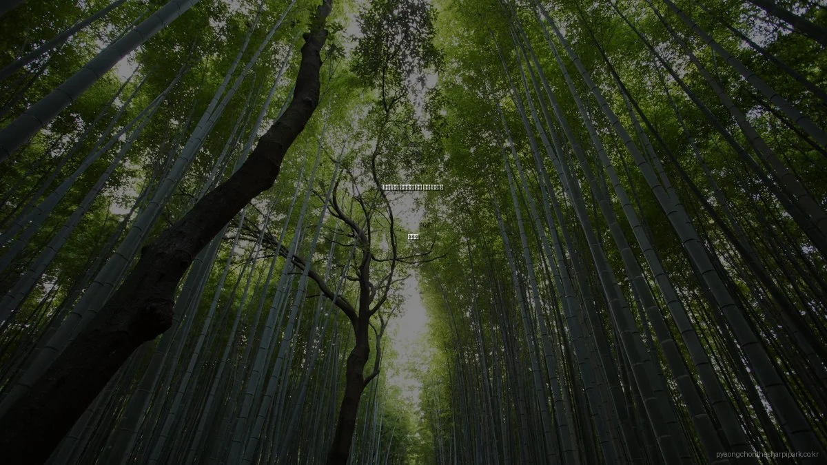 평촌 더샵 아이파크 실제 거주 후기 및 장단점