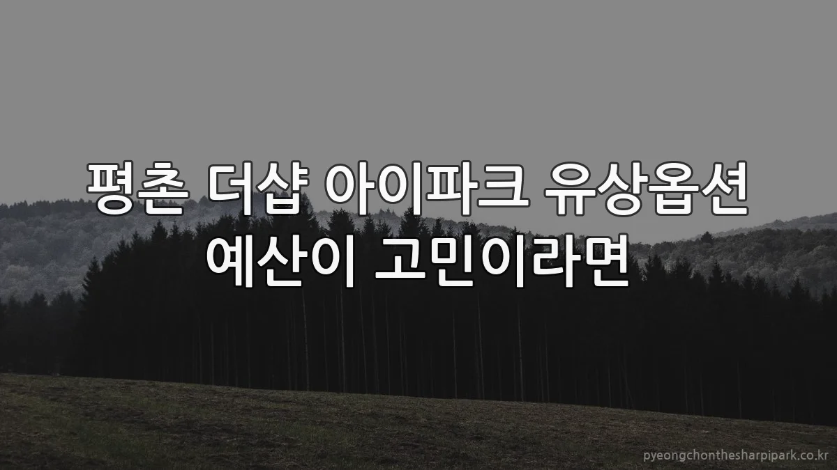 평촌 더샵 아이파크 유상옵션 예산이 고민이라면