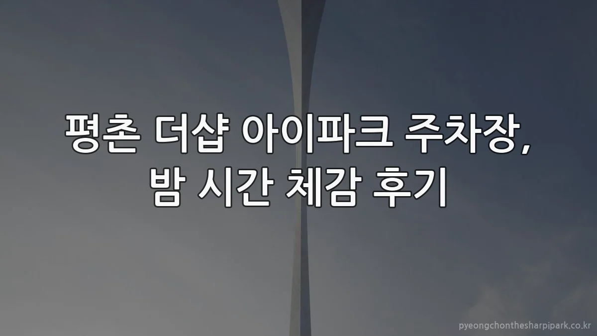 평촌 더샵 아이파크 주차장, 밤 시간 체감 후기