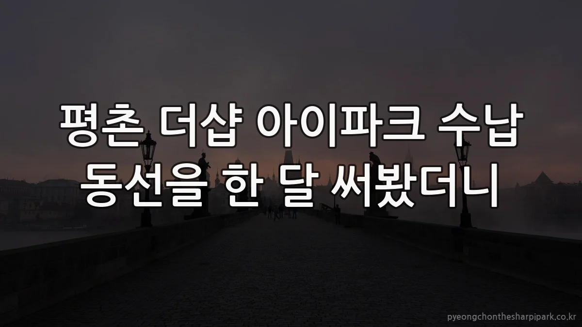 평촌 더샵 아이파크 수납 동선을 한 달 써봤더니