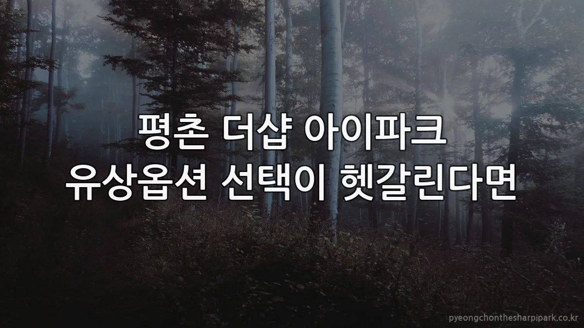 평촌 더샵 아이파크 유상옵션 선택이 헷갈린다면