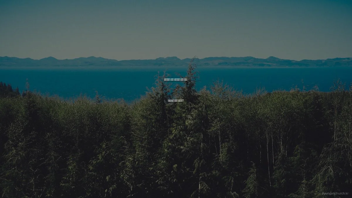 평안교회 예배 프로그램 비교 분석: 당신에게 맞는 선택은?