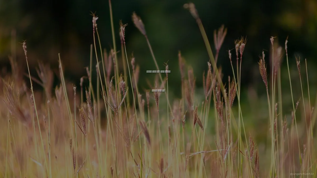 평안교회 예배의 본질: 목회자 인터뷰로 알아보는 진정한 의미