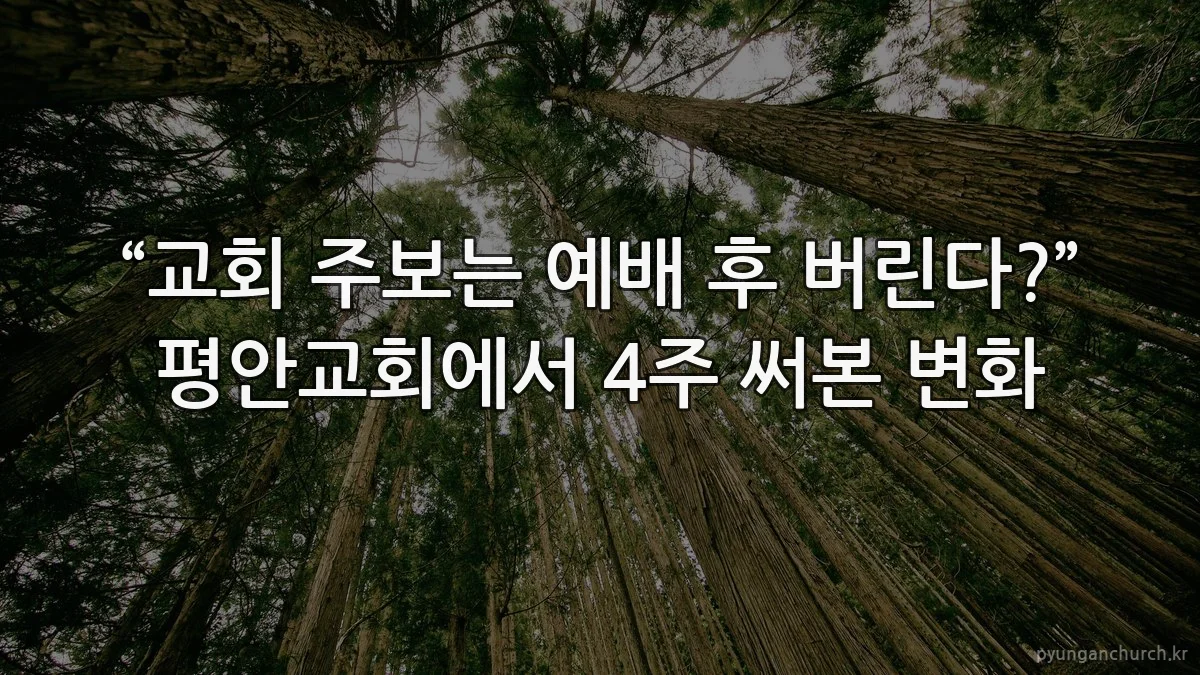 “교회 주보는 예배 후 버린다?” 평안교회에서 4주 써본 변화