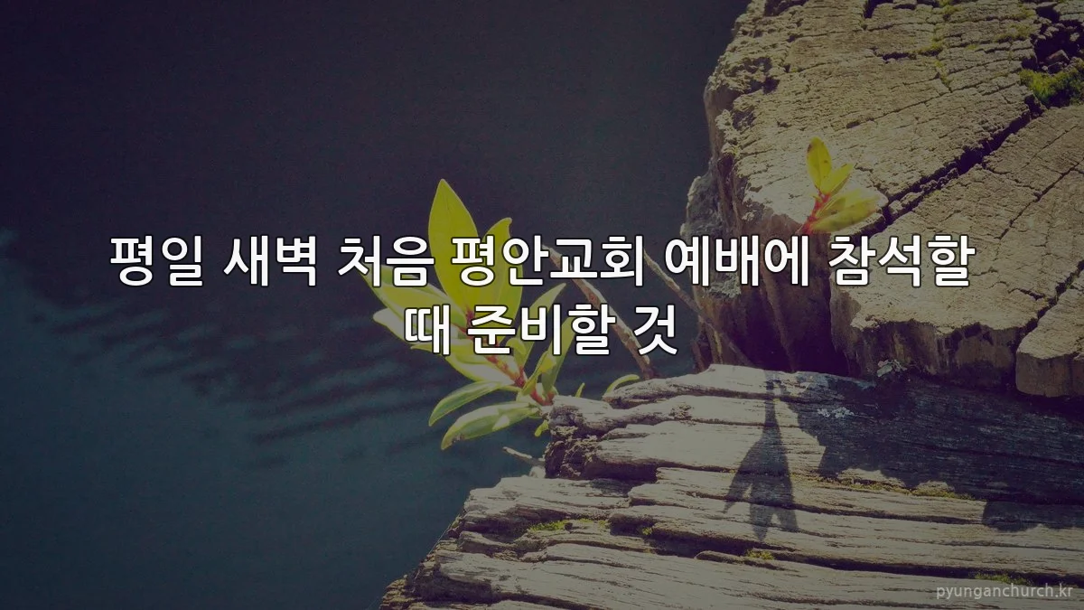 평일 새벽 처음 평안교회 예배에 참석할 때 준비할 것