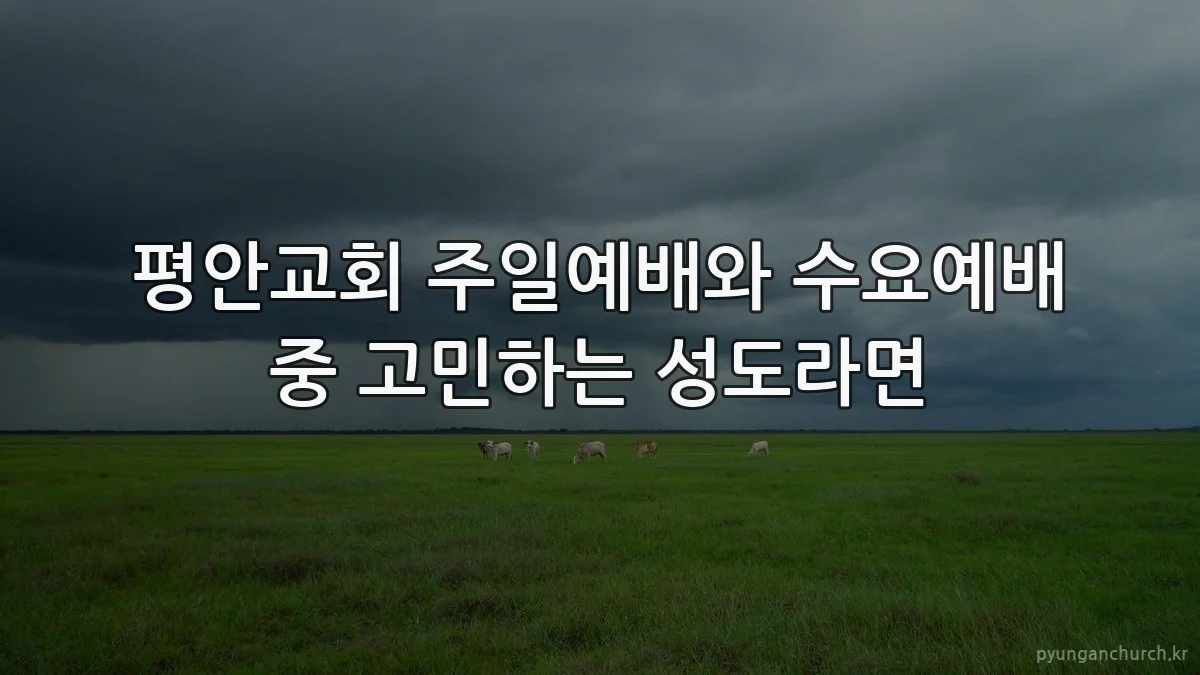 평안교회 주일예배와 수요예배 중 고민하는 성도라면