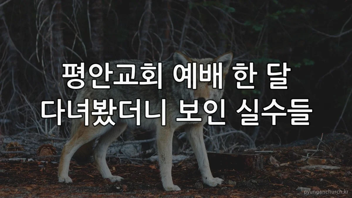 평안교회 예배 한 달 다녀봤더니 보인 실수들