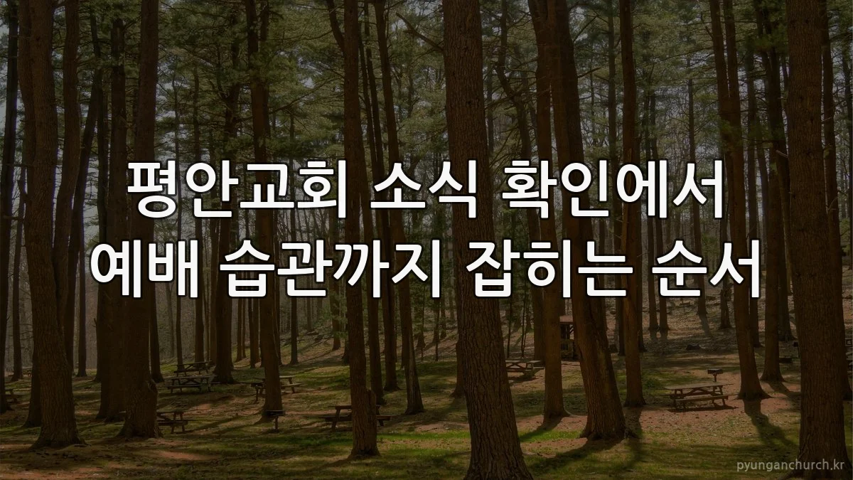 평안교회 소식 확인에서 예배 습관까지 잡히는 순서