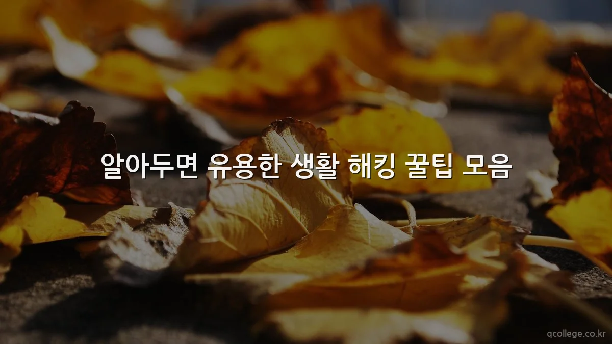 알아두면 유용한 생활 해킹 꿀팁 모음