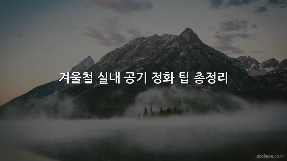겨울철 실내 공기 정화 팁 총정리