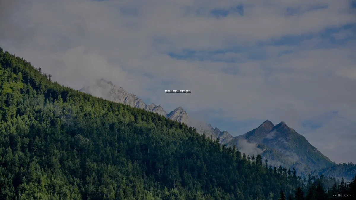 가격대별 인기 주방 가전 추천 가이드