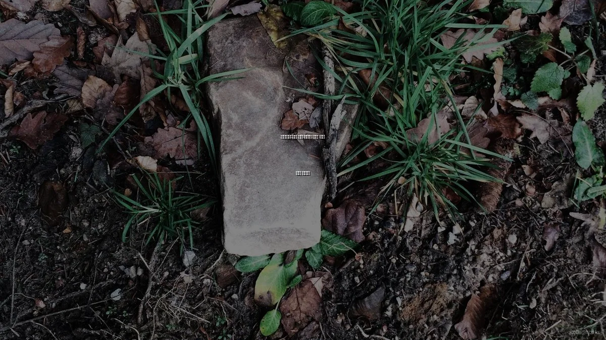 스마트홈 운영 실패 사례와 교훈: 흔한 실수 피하기