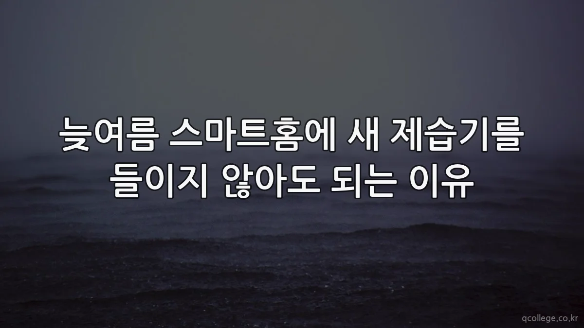 늦여름 스마트홈에 새 제습기를 들이지 않아도 되는 이유