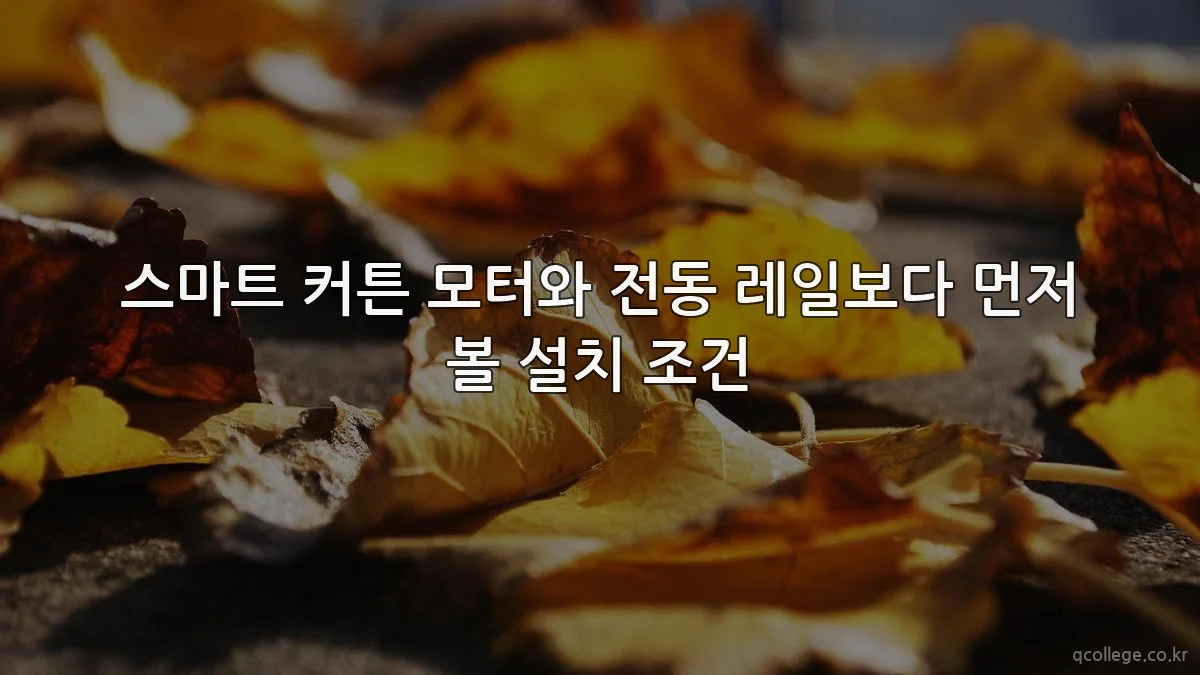 스마트 커튼 모터와 전동 레일보다 먼저 볼 설치 조건
