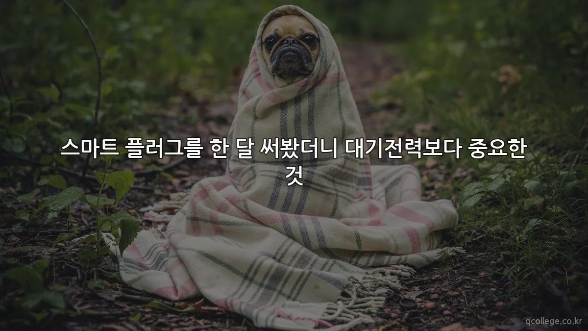 스마트 플러그를 한 달 써봤더니 대기전력보다 중요한 것